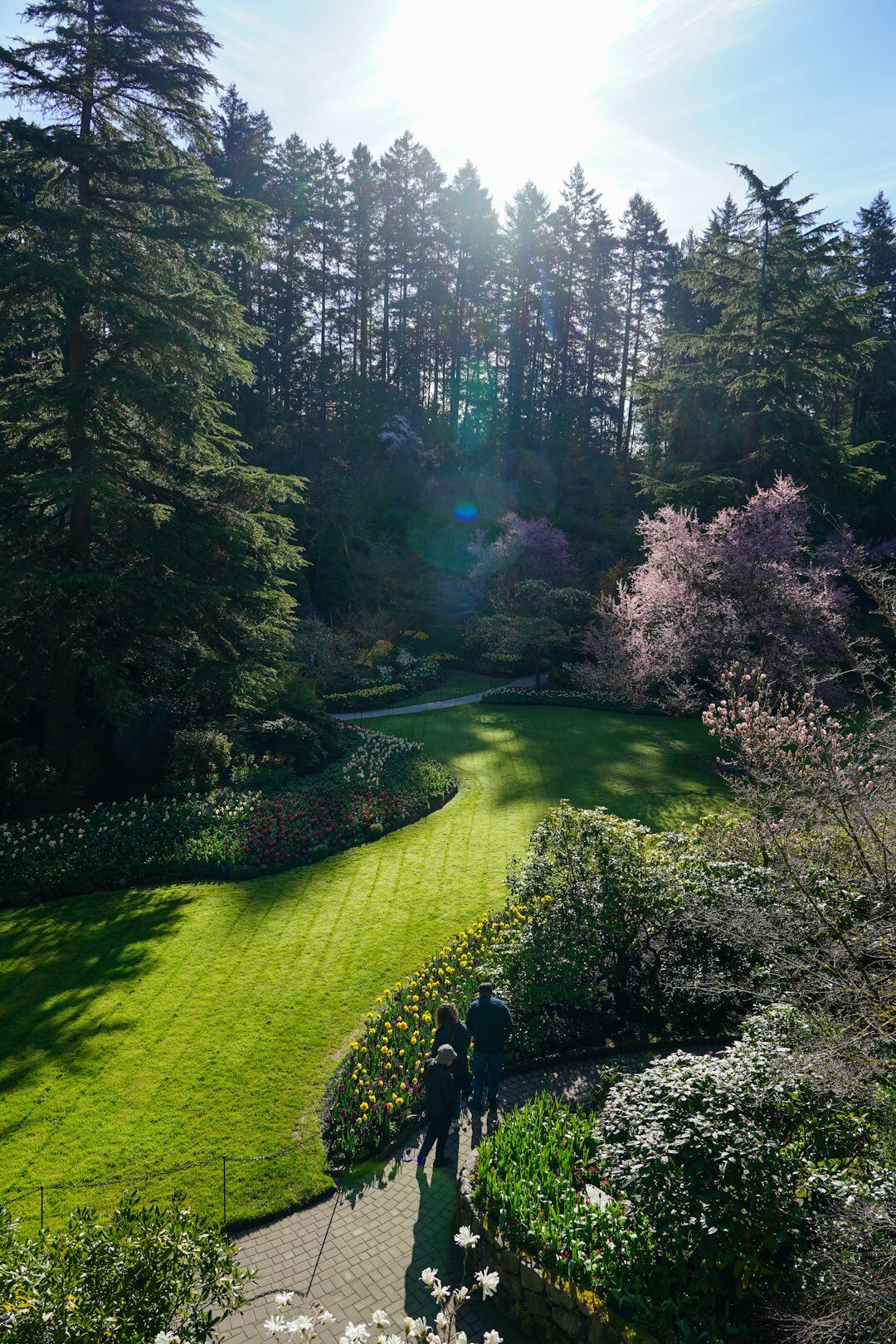 senior residents walking in garden