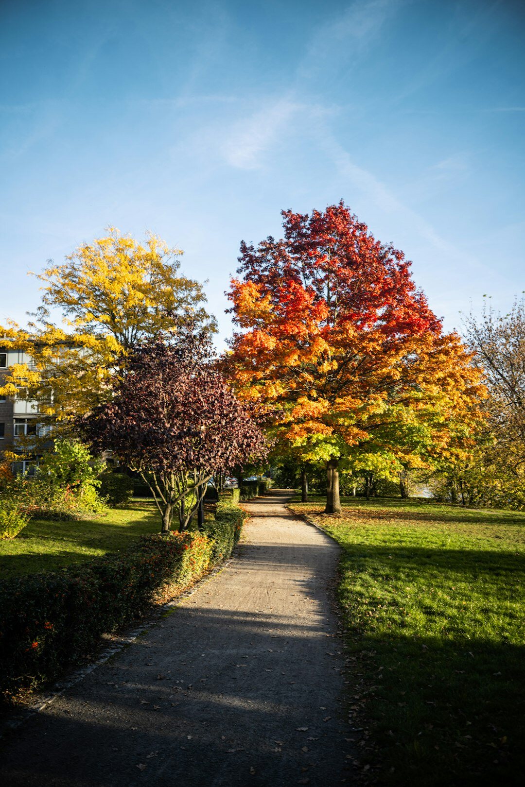 Group of senior citizens walking together on a neighborhood path in autumn