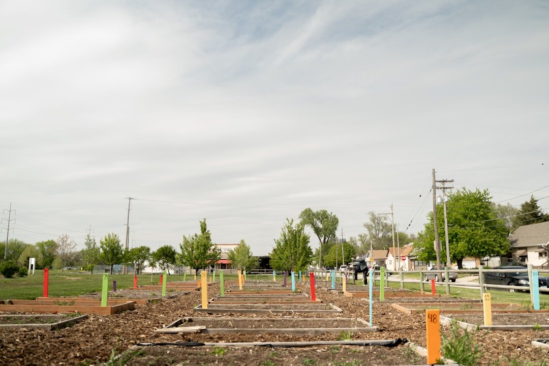Senior citizens tending to plants together in a community garden
