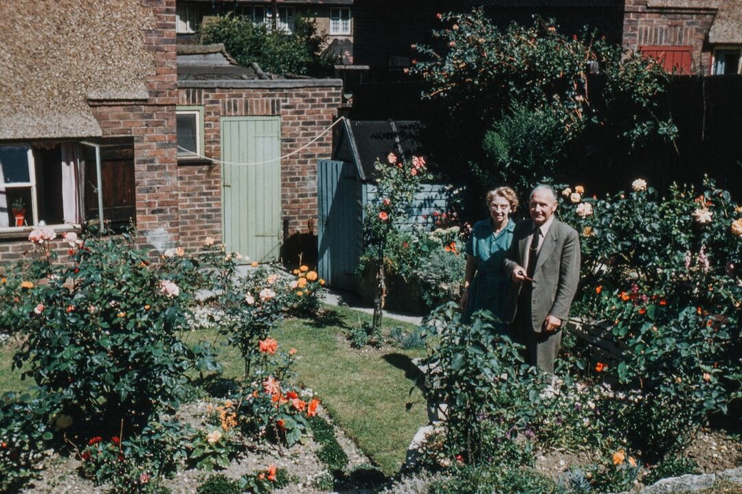 senior couple gardening